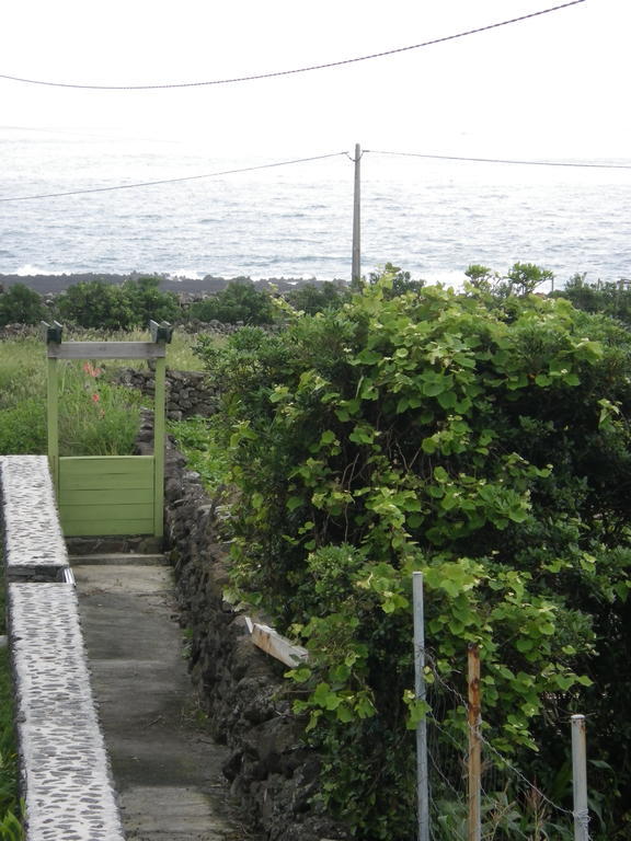 Alojamentos Flores Island Faja Grande Kültér fotó