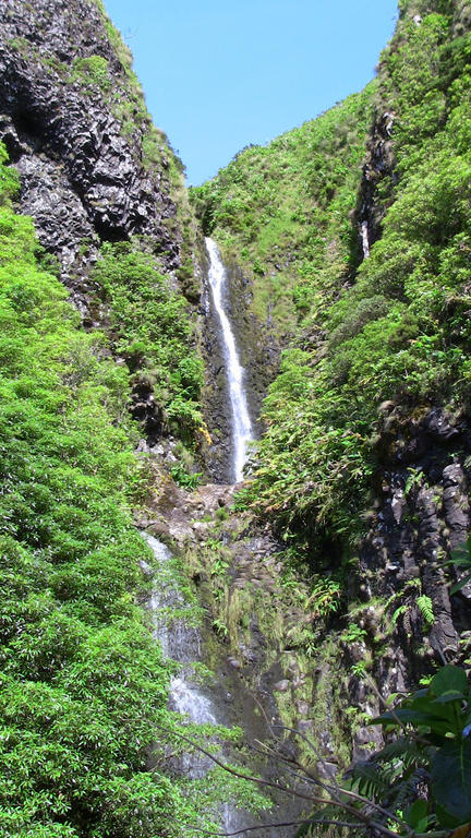 Alojamentos Flores Island Faja Grande Kültér fotó