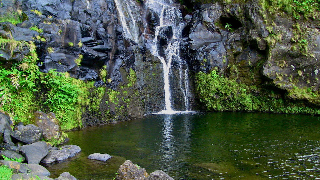 Alojamentos Flores Island Faja Grande Kültér fotó